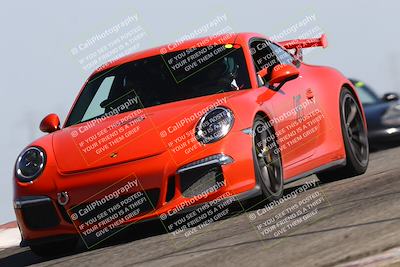 media/Jun-01-2025-PCA Golden Gate (Sun) [[9e4b10205a]]/Yellow/Session 1 (Grapevine)/